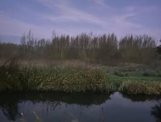 Moon on the River Gipping